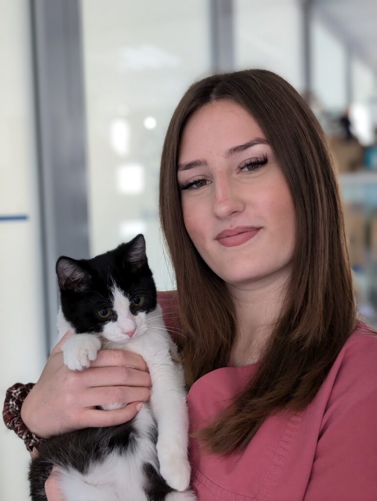 Bild Elisa